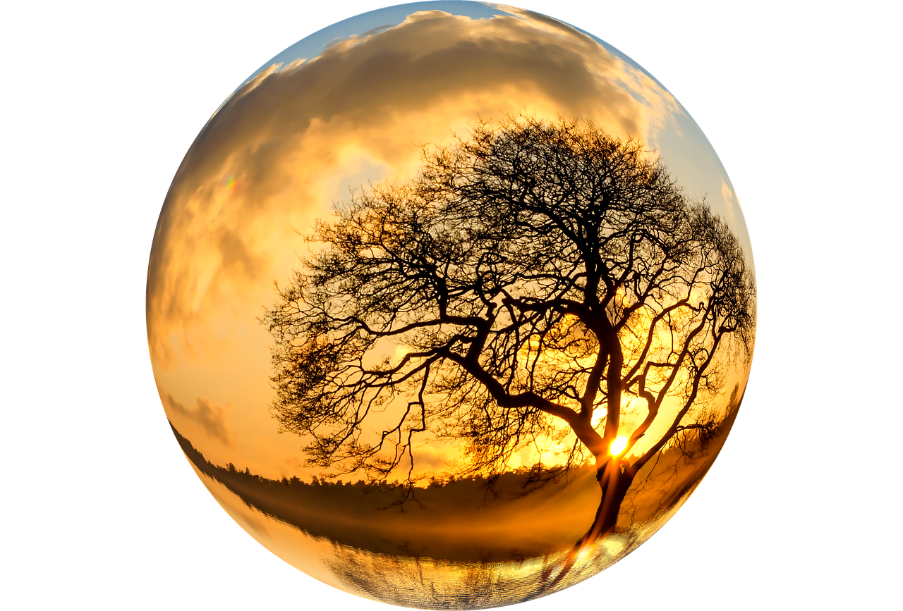 Sunset Silhouette Tree Crystal Ball PNG Image