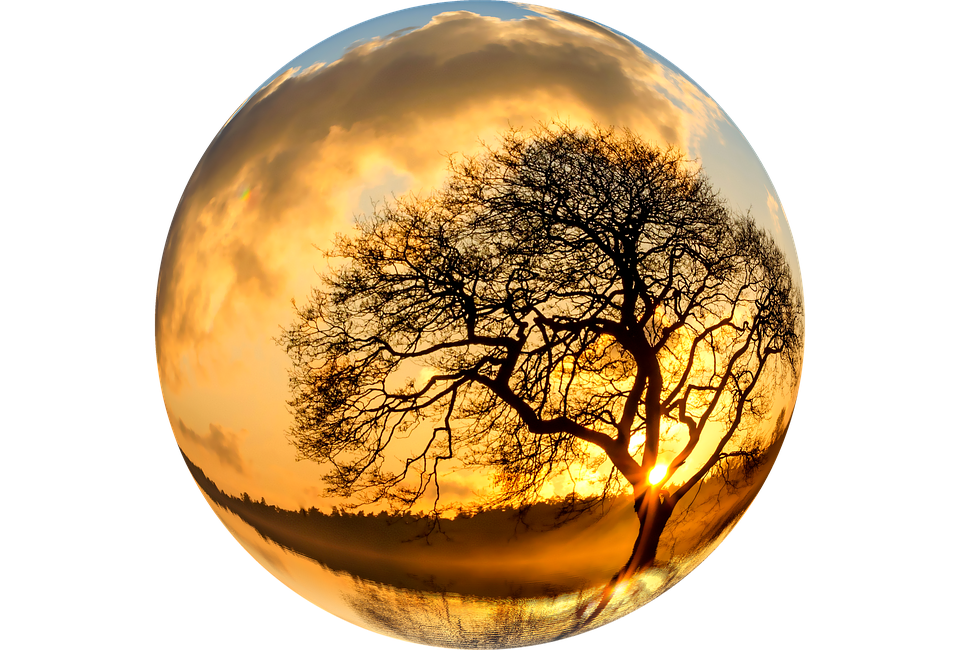 Sunset Silhouette Tree Sphere PNG Image