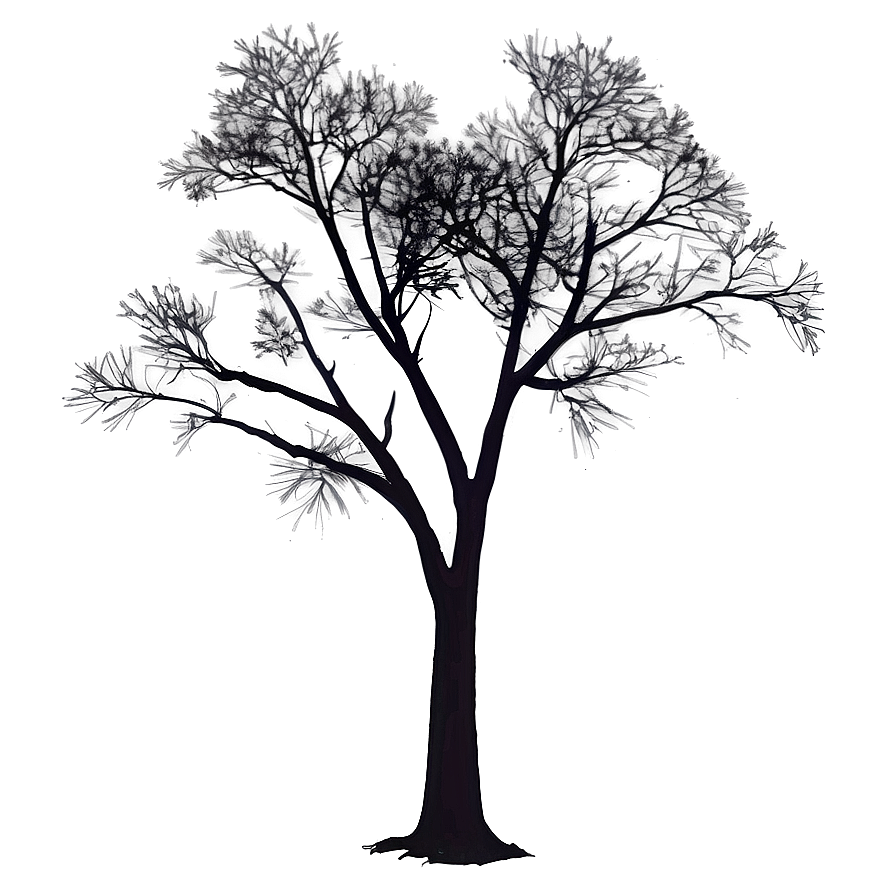 Sunset Tree Silhouette Png Doj PNG Image