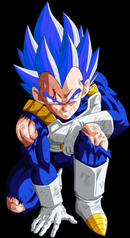 Super Saiyan Blue Vegeta Power Stance PNG Image