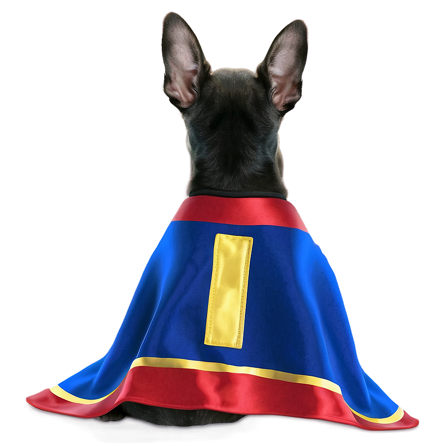 Superhero Cape For Pets Png 06202024 PNG Image