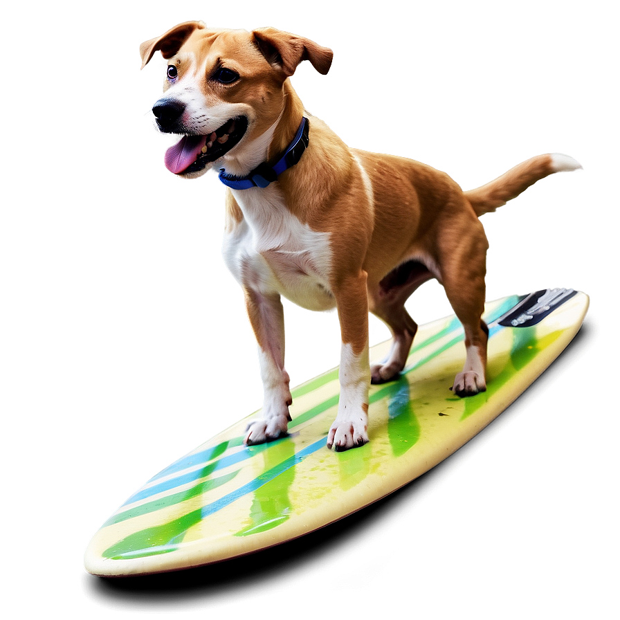 Surfing Dog Png Lcy PNG Image