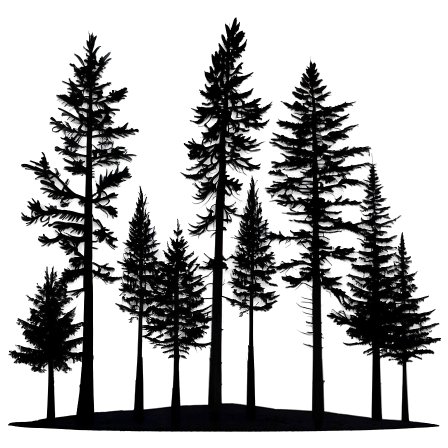 Surreal Black Trees Png Jcp53 PNG Image