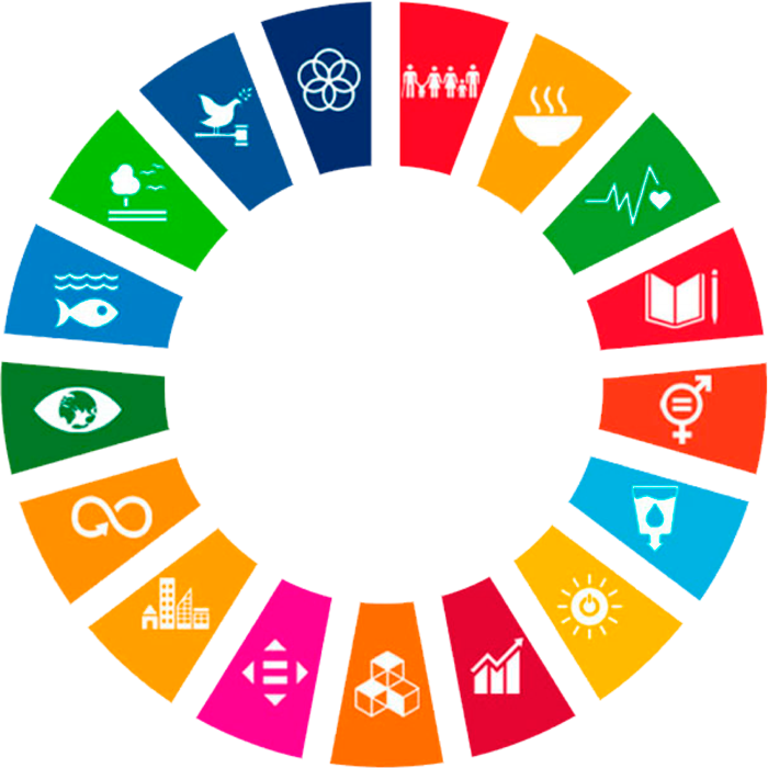 Sustainable Development Goals Icons Circle PNG Image