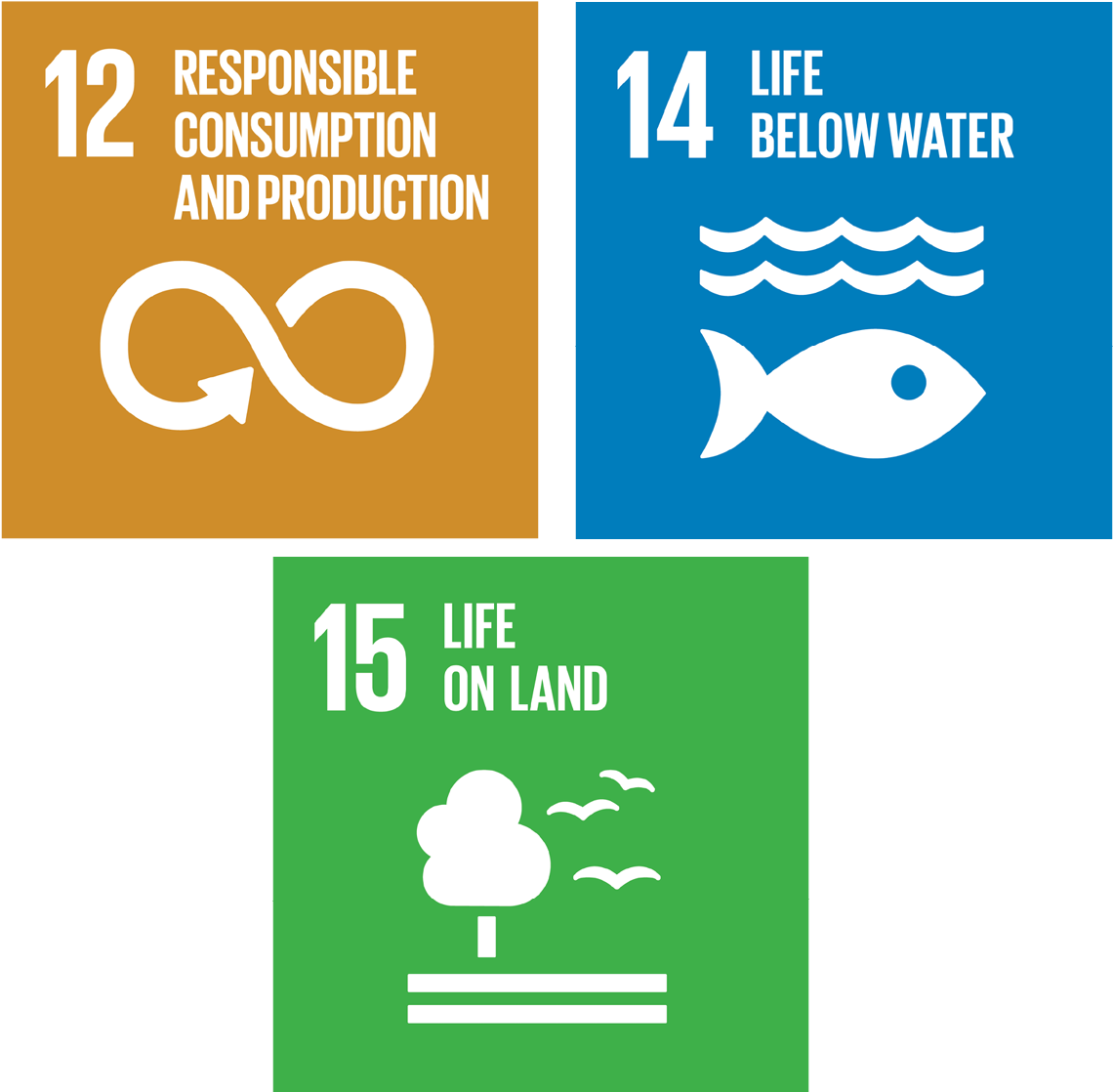 Sustainable Development Goals121415 PNG Image