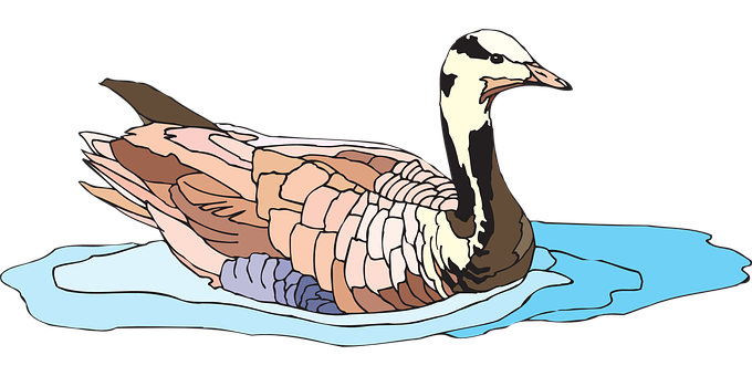 Swan On Water Illustration PNG Image