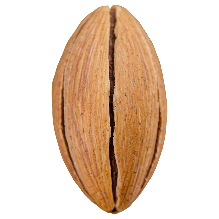 Sweet Almond Png Llq PNG Image