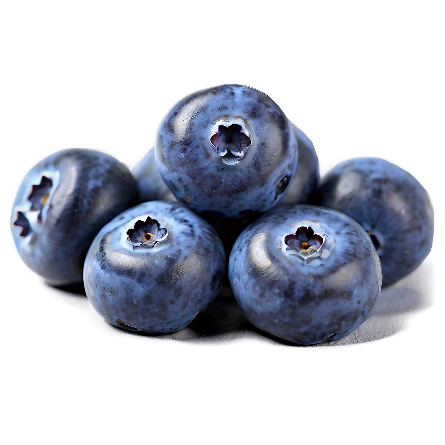 Sweet Blueberry Treat Png 05212024 PNG Image