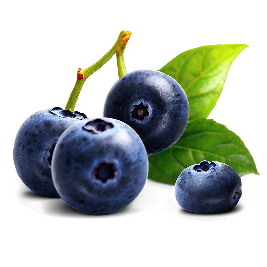 Sweet Blueberry Treat Png 46 PNG Image