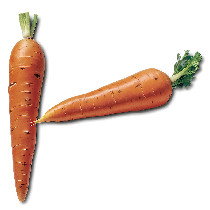 Sweet Carrot Png Xem93 PNG Image