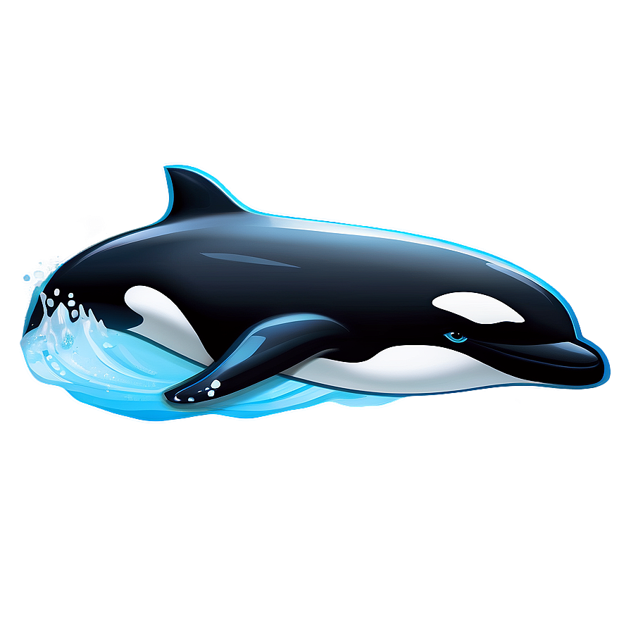 Swimming Orca Whale Graphic Png 06292024 PNG Image