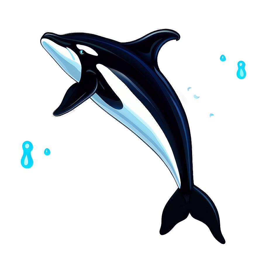 Swimming Orca Whale Graphic Png Csf18 PNG Image