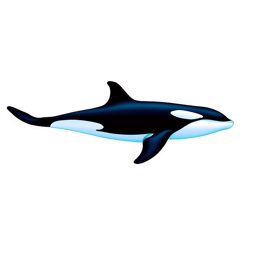 Swimming Orca Whale Graphic Png Vml PNG Image