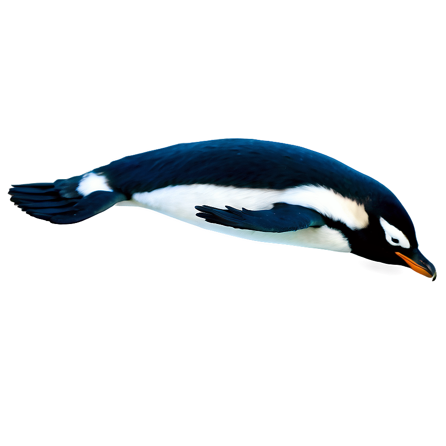 Swimming Penguins Png 06112024 PNG Image