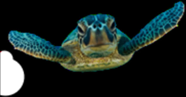 Swimming Sea Turtle Blurry Background PNG Image