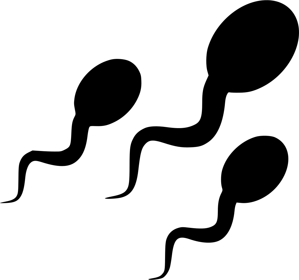 Swimming_ Sperm_ Illustration.png PNG Image