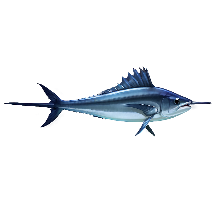 Swordfish C PNG Image