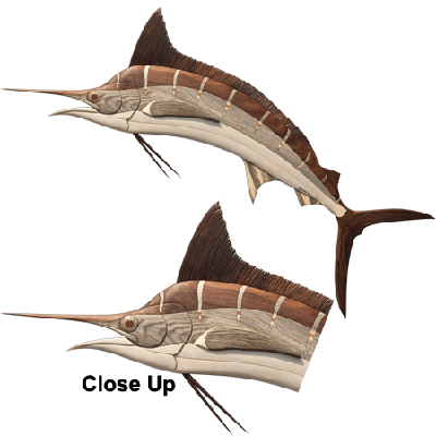 Swordfish Illustration PNG Image