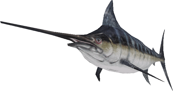 Swordfish Side View PNG Image