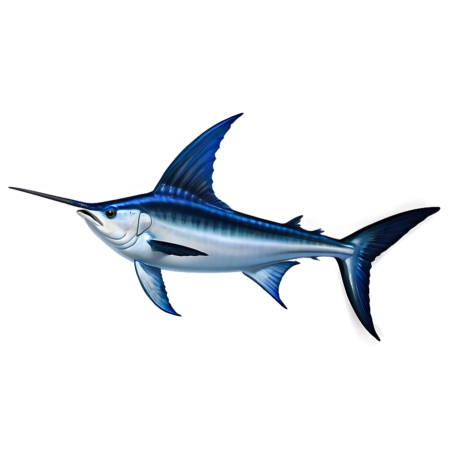 Swordfish Vs Marlin Png 63 PNG Image