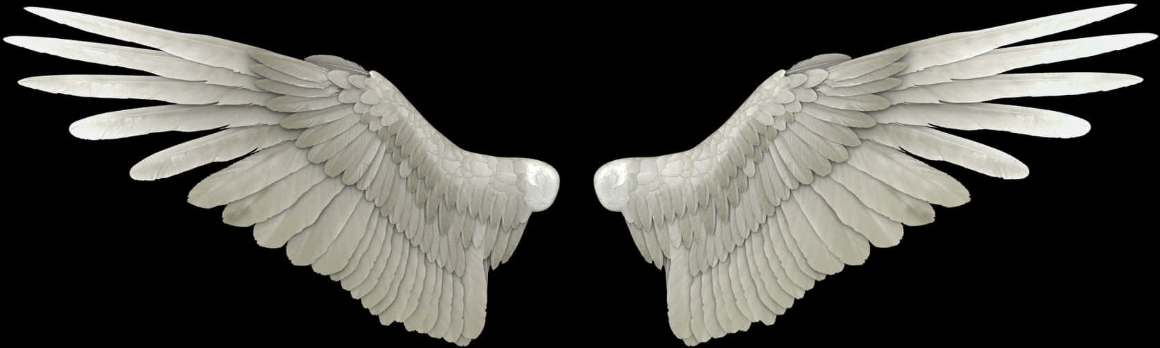 Symmetrical Angel Wings Black Background PNG Image