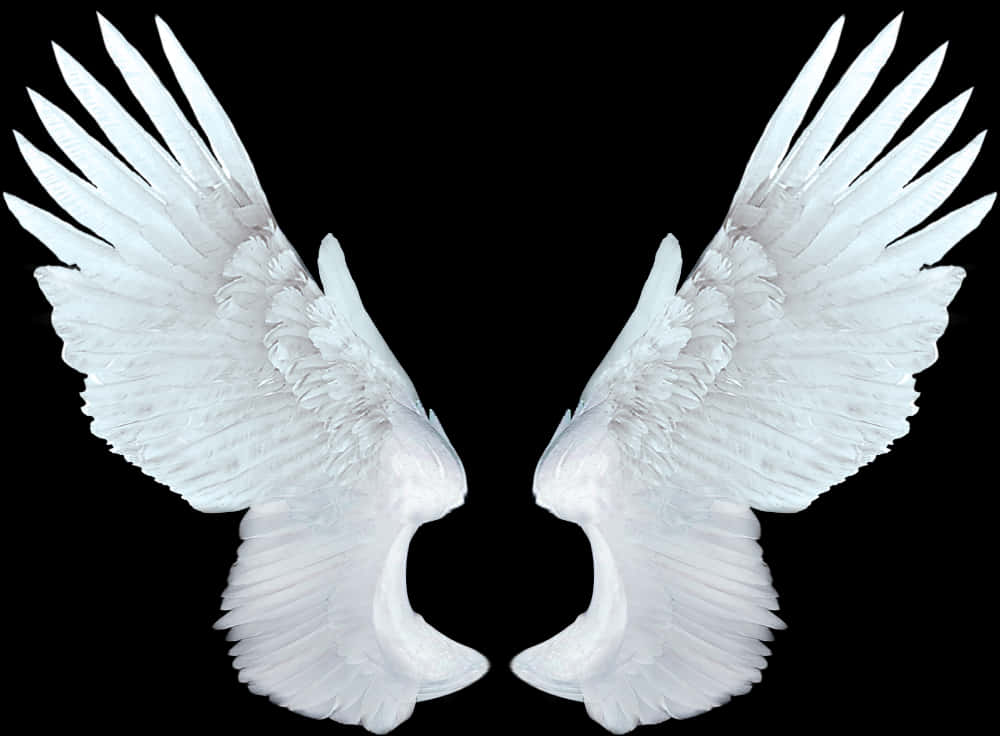 Symmetrical Angel Wingson Black Background PNG Image