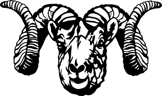 Symmetrical Ram Illustration PNG Image