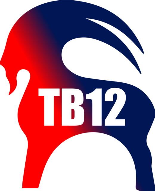 T B12 Logo Graphic PNG Image