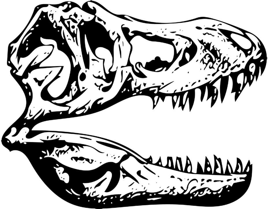 T Rex Skull Silhouette PNG Image