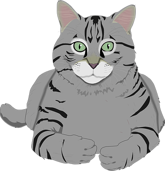 Tabby Cat Illustration PNG Image