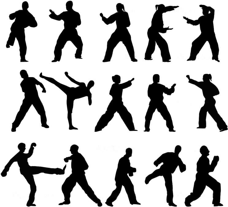 Taekwondo Silhouettes Set PNG Image