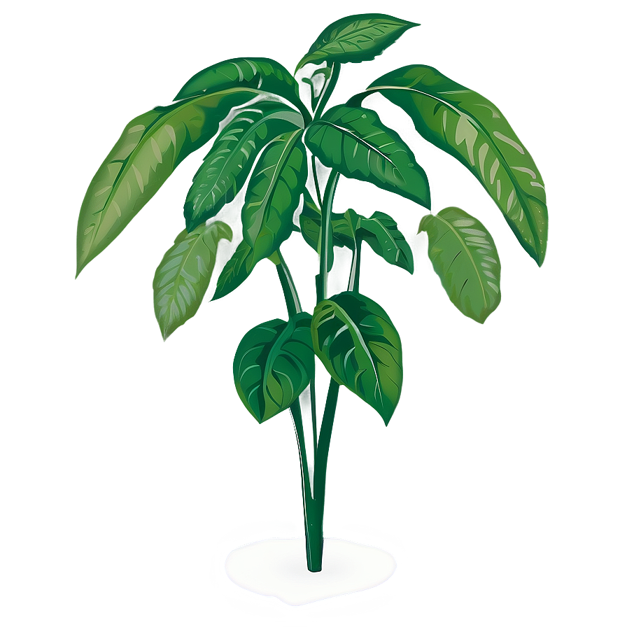 Tall Leafy Plant Png Qwq PNG Image