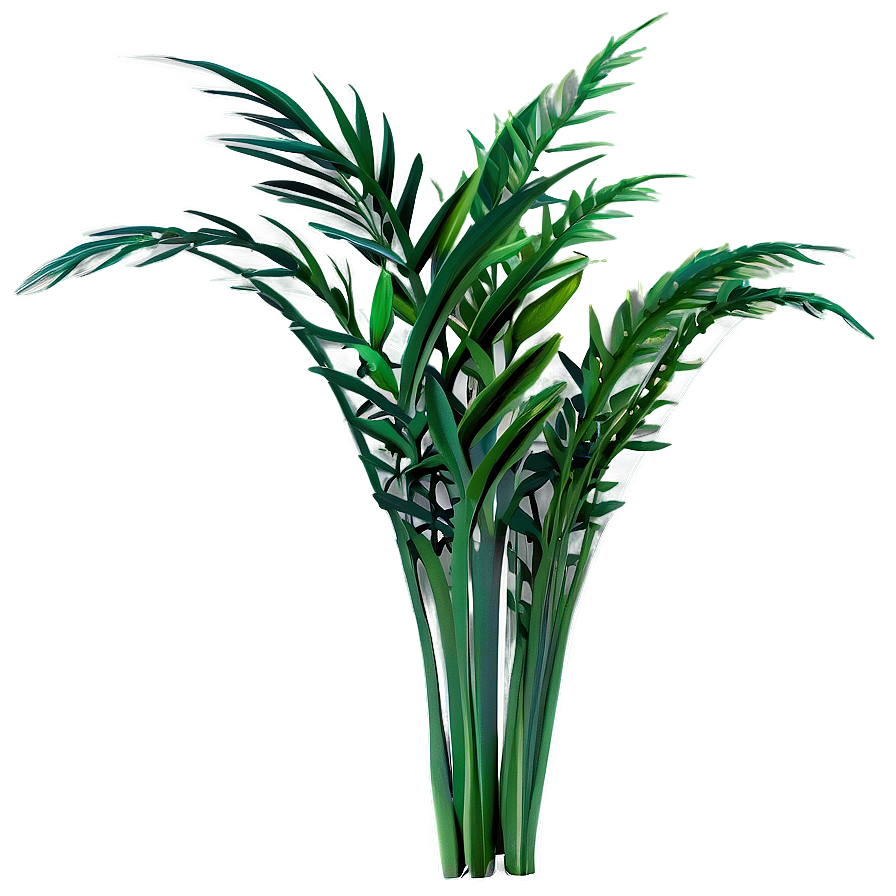 Tall Plant A PNG Image