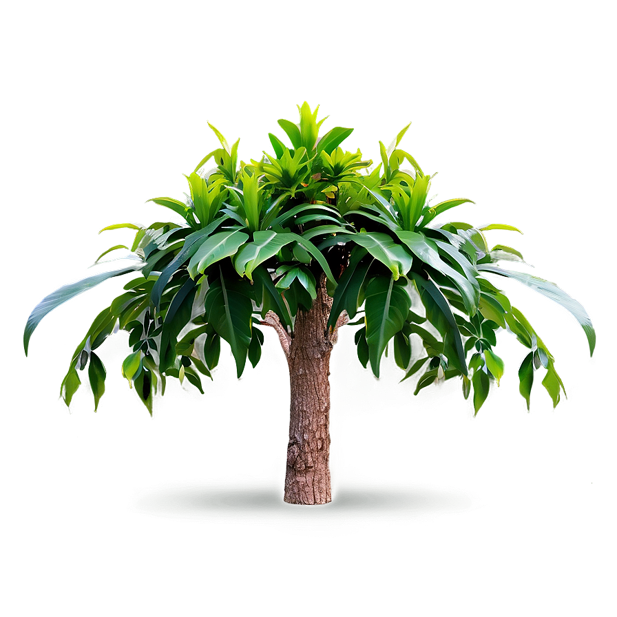 Tall Plant Png 06282024 PNG Image