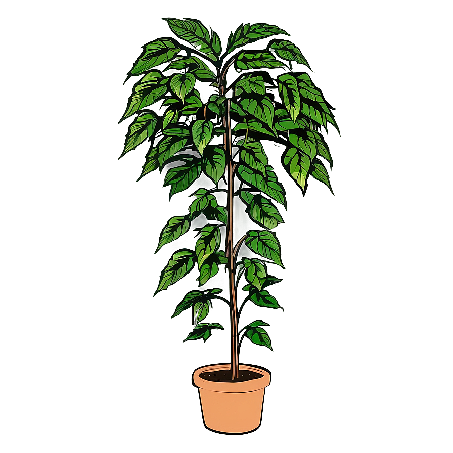 Tall Plant Sketch Png 70 PNG Image