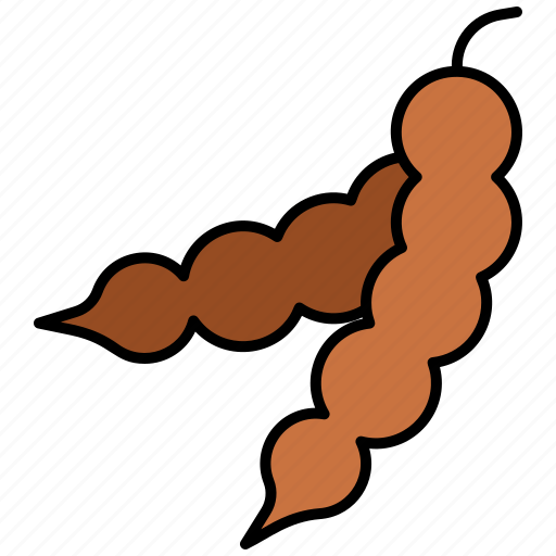 Tamarind Pod Illustration PNG Image