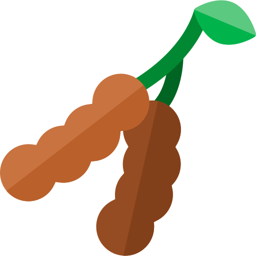 Tamarind Pod Vector Illustration PNG Image