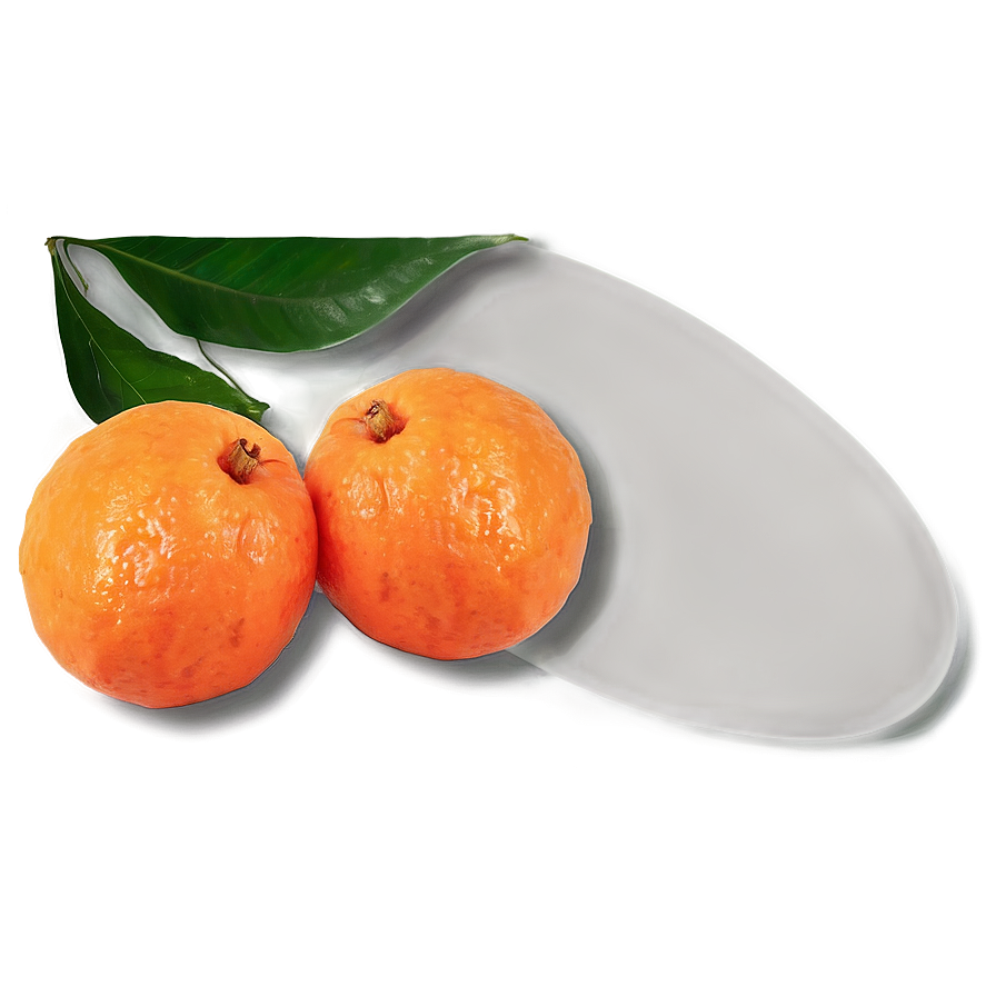 Tangerine Artistic Png 73 PNG Image