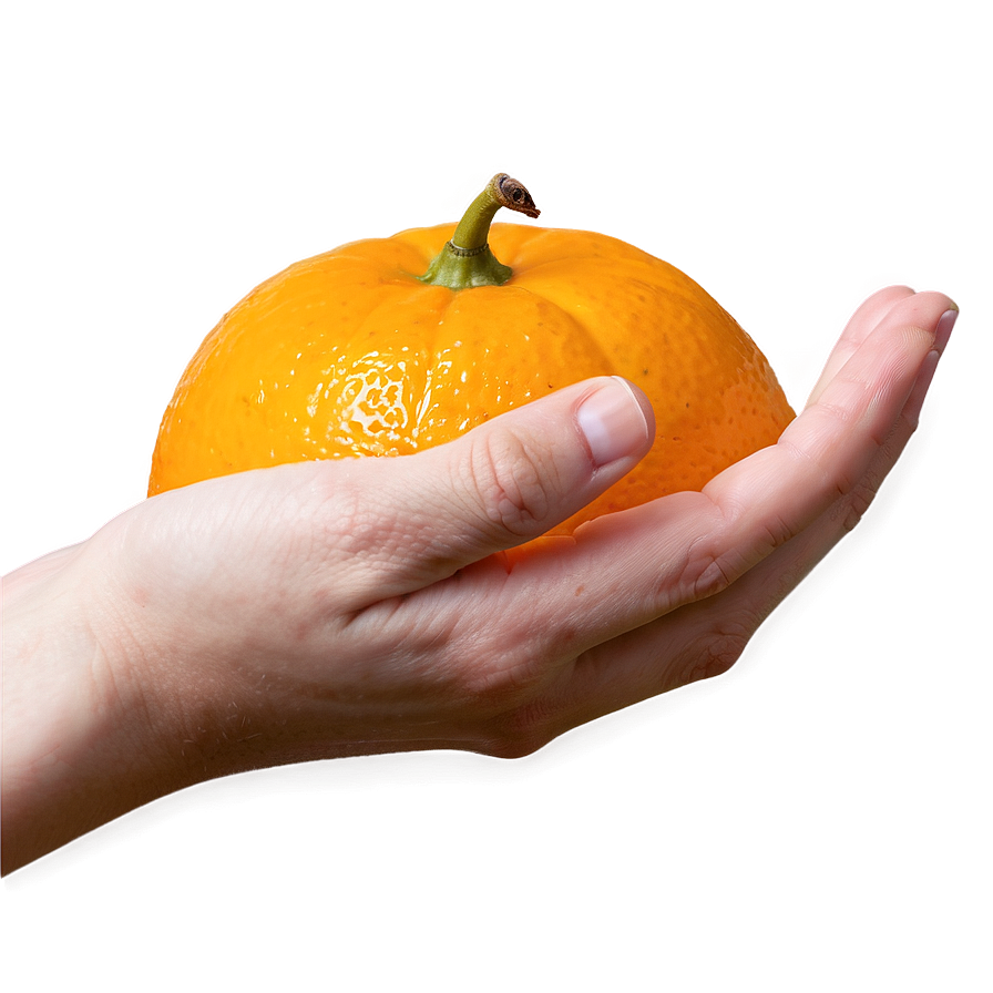 Tangerine In Hand Png 92 PNG Image