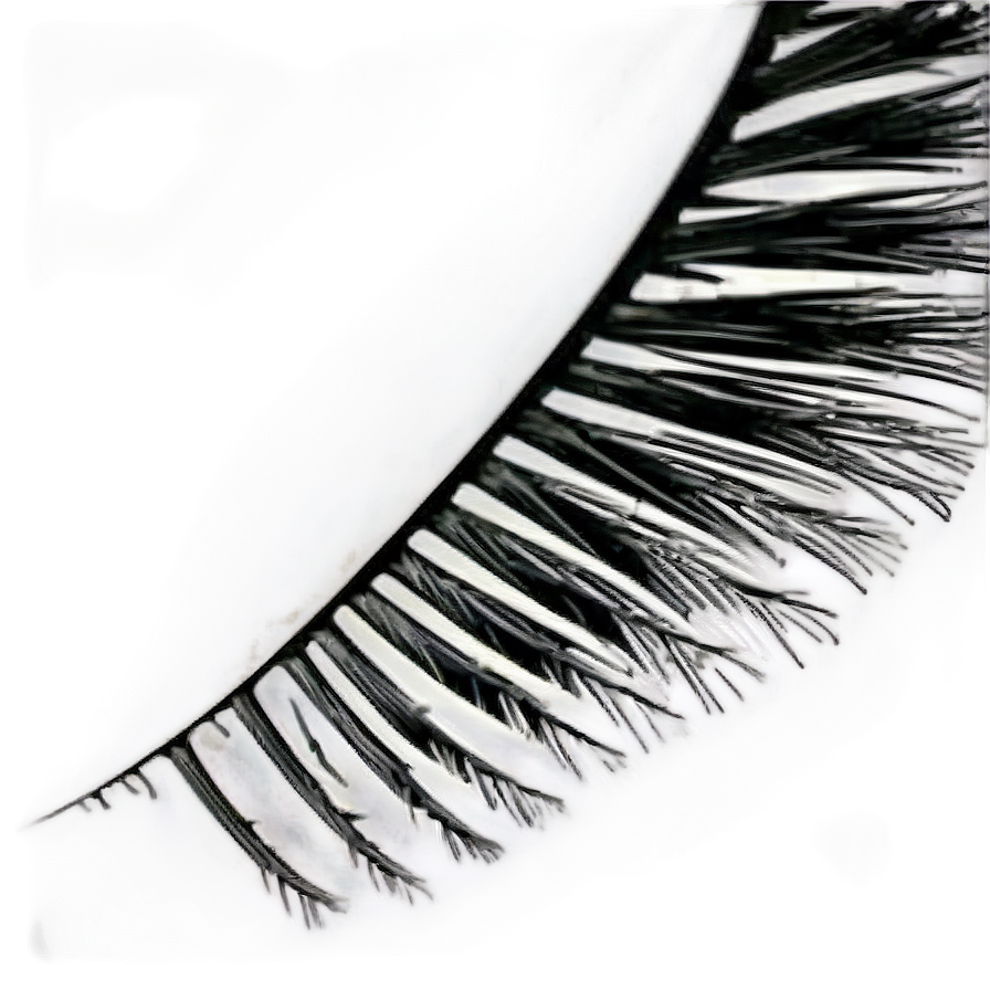 Tapered End Lashes Png 05252024 PNG Image