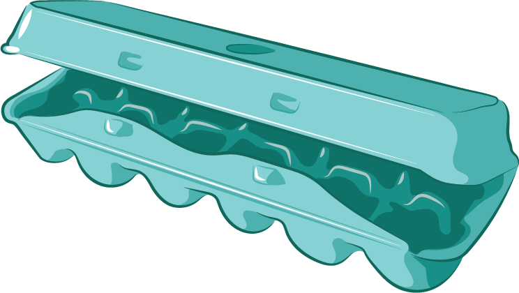 Teal Egg Carton Closed PNG Image