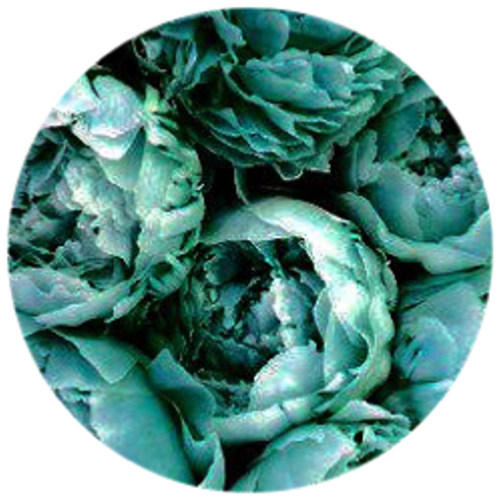 Teal Rose Circle Abstract PNG Image