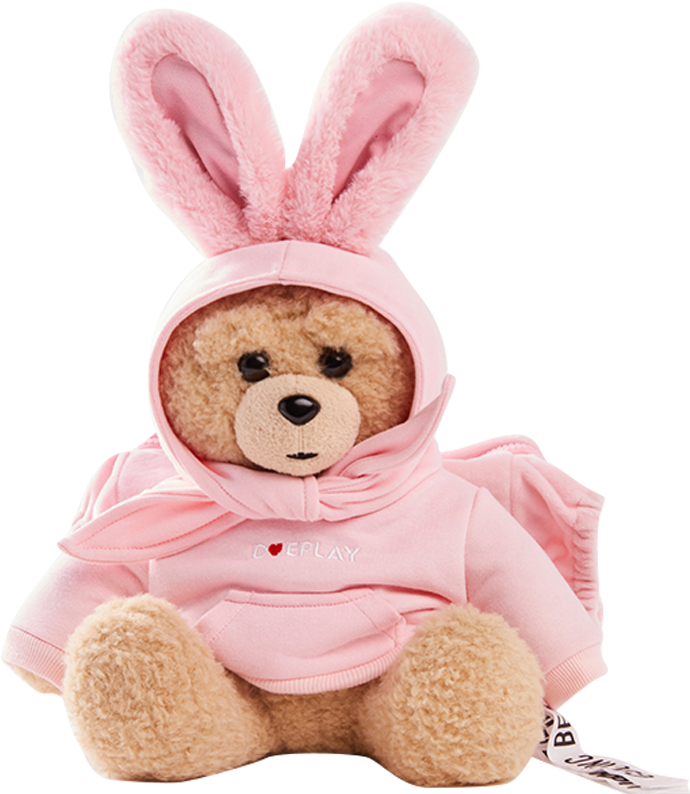 Teddy Bearin Bunny Hoodie PNG Image