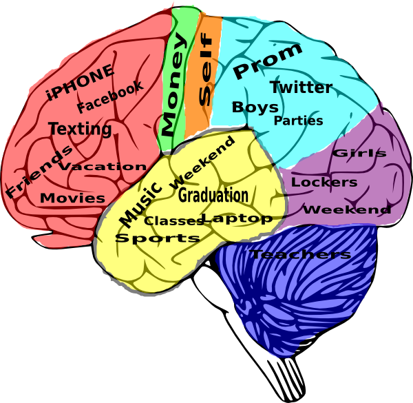 Teenage Brain Concepts Illustration PNG Image