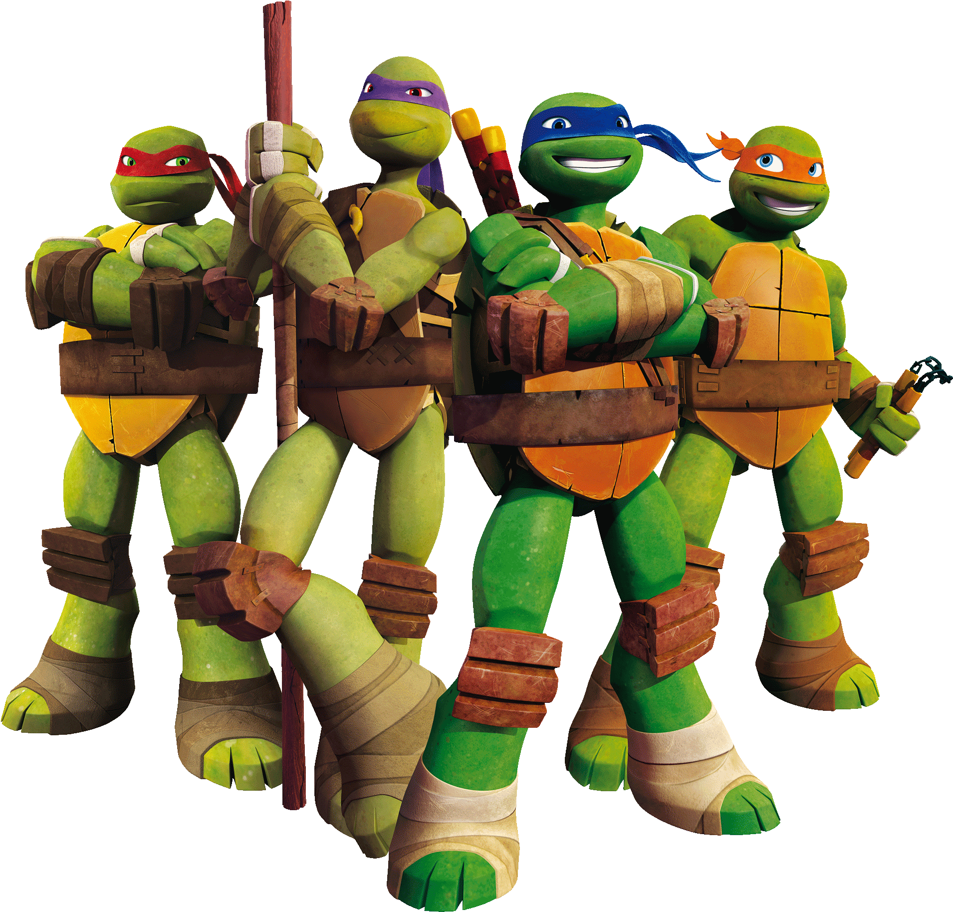 Teenage Mutant Ninja Turtles Team Pose PNG Image