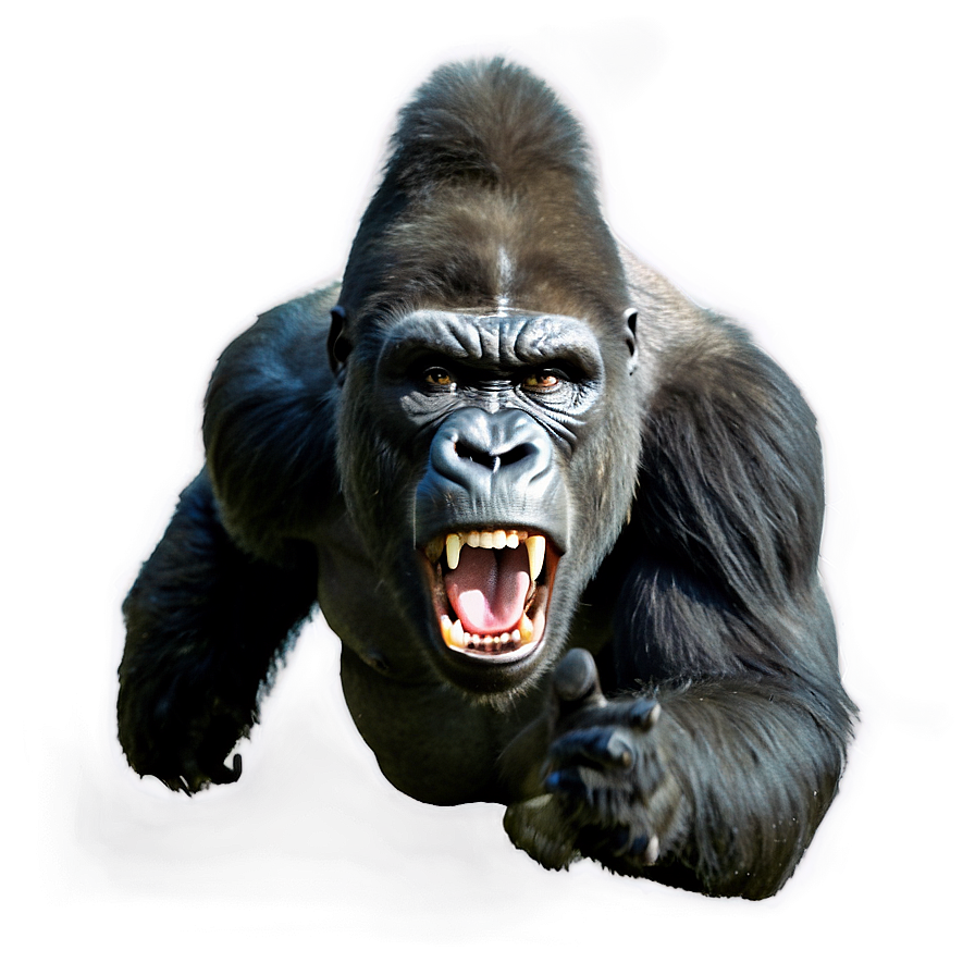 Terrifying Angry Gorilla Png 06252024 PNG Image