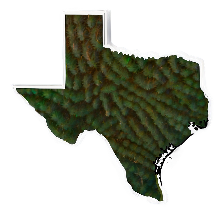 Texas Outline Structure Png Xiu40 PNG Image