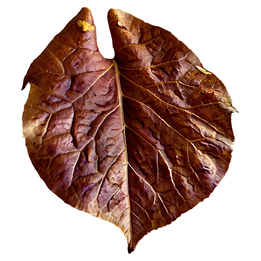 Textured Fall Leaf Png 63 PNG Image