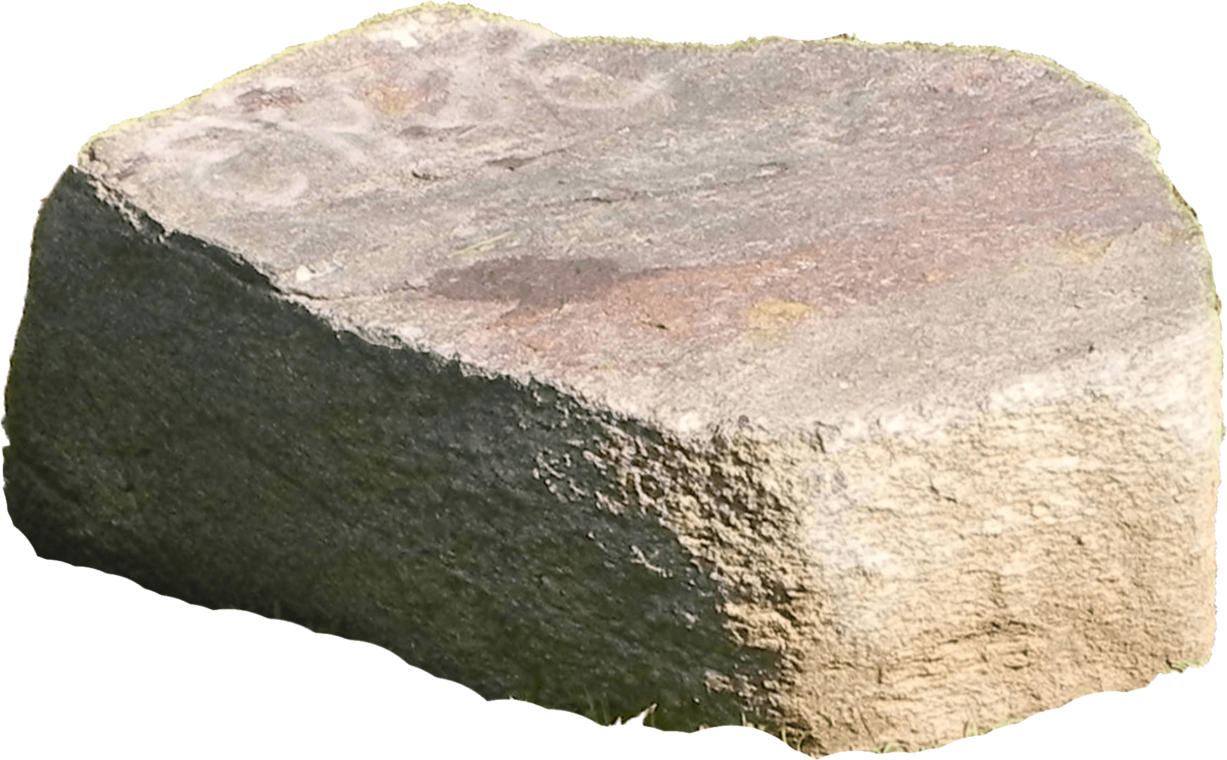 Textured Rock Surface PNG Image