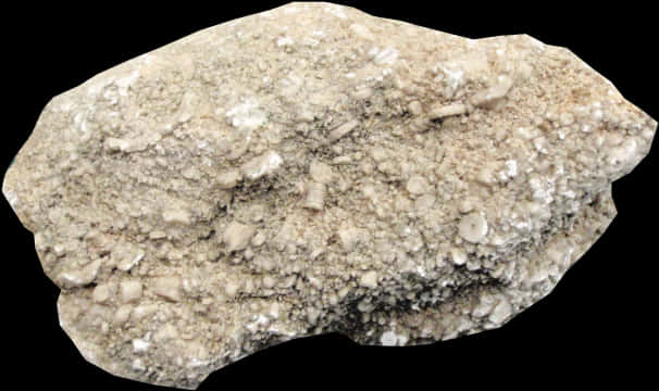 Textured Sedimentary Rock Sample PNG Image